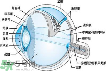 近視眼是什么？近視眼的癥狀有哪些？