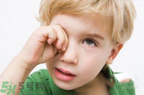 秋季眼睛干澀怎么辦？秋季眼睛干澀怎么調理？