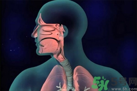 過敏性鼻炎的高發(fā)人群有哪些？如何預(yù)防過敏性鼻炎？