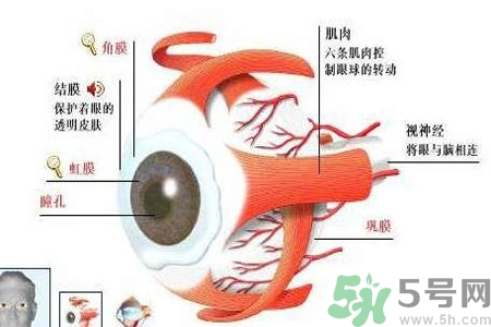白內(nèi)障的護理措施是什么？白內(nèi)障的飲食護理有哪些？