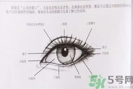 白內(nèi)障的發(fā)病因素是什么？白內(nèi)障并發(fā)癥有哪些？