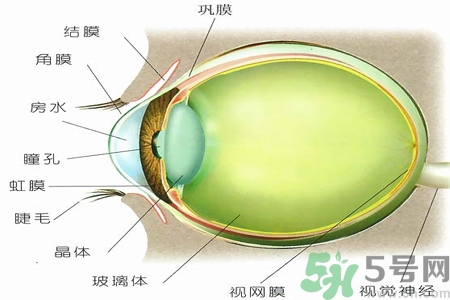 青光眼的治療方法有哪些？青光眼可以哪些藥物治療？