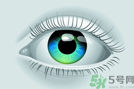 青光眼的高發(fā)人群有哪些？如何預(yù)防青光眼？
