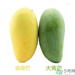 青芒和黃色芒果哪個好？青芒和黃色芒果的區(qū)別