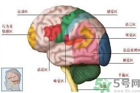 腦出血的發(fā)病因素是什么？腦出血的并發(fā)癥有哪些？