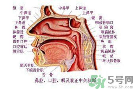 鼻咽癌的日常措施是什么？鼻咽癌注意的飲食有哪些？