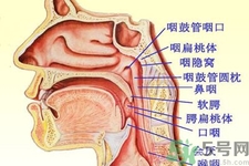 鼻咽癌的日常措施是什么？鼻咽癌注意的飲食有哪些？