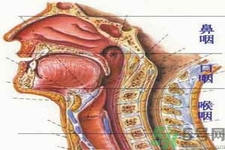 鼻咽癌的治療方法是什么？鼻咽癌可以用什么藥物治療？