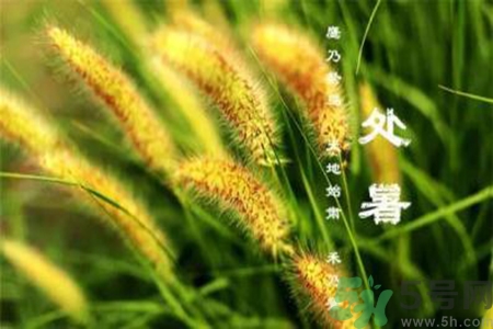 處暑出生的人怎么取名？處暑出生的人的命運(yùn)？
