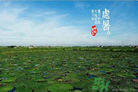 處暑出生的人怎么取名？處暑出生的人的命運(yùn)？