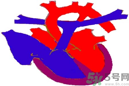 心臟病是怎么形成的？易發(fā)人群有哪些？