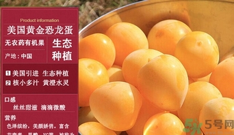 恐龍蛋水果怎么吃？恐龍蛋水果皮能吃嗎？
