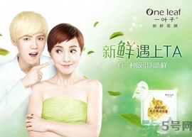 一葉子面膜怎么樣？一葉子明星產(chǎn)品