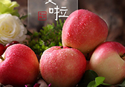 孕婦可以吃嘎啦果嗎？嘎啦果的禁忌