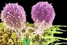 不宜過多食用辣椒的人群有哪些？夏天吃辣椒的好處有哪些？