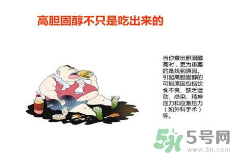 高膽固醇人群該怎么辦？膽固醇高需注意什么？