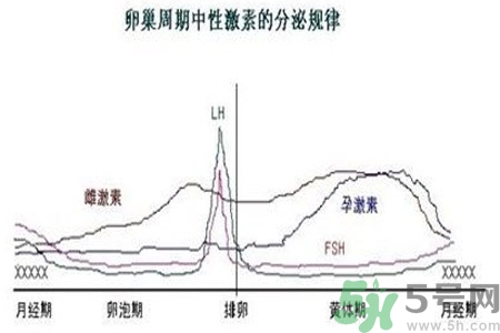 如何分清常見的激素藥？如何正確使用激素類藥物？