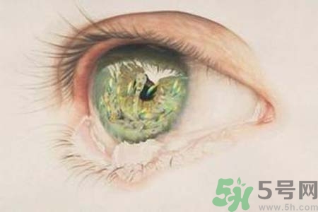 睡覺時(shí)流眼淚是怎么回事？如何保護(hù)眼睛？