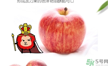 姬娜果是什么？姬娜果的功效作用