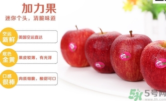 姬娜果是什么？姬娜果的功效作用