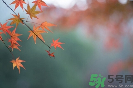 秋老虎如何謹(jǐn)防皮膚??？秋老虎如何預(yù)防皮膚?。?></p><h4>接觸性皮炎</h4><p>愛美是女人的天性，為展示自己的美麗，項(xiàng)鏈﹑手鏈﹑腳鏈……成了愛美女性的首選。然而，長時(shí)間佩戴金屬首飾容易導(dǎo)致接觸性皮炎。高溫天氣出汗較多，皮膚受汗水浸漬和金屬首飾的摩擦，就極易發(fā)生接觸性皮炎。</p><p>防治措施</p><p>佩戴首飾的同時(shí)要保持皮膚的干燥和首飾的清潔。治療上可口服抗組胺藥，外用爐甘石洗劑等。</p><p style=