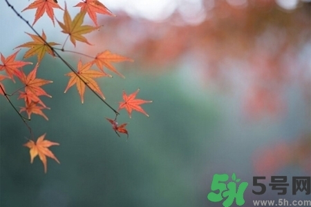 秋天換季病有哪些？秋天該如何保健養(yǎng)生呢？