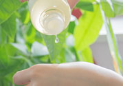 春雨水乳適合人群 春雨水乳孕婦可以用嗎？