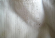 衣服長黑點怎么洗掉？衣服上長霉點怎么去除？