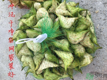 菱角和豬肉能一起吃嗎？菱角和什么不能一起吃？