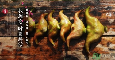 菱角和豬肉能一起吃嗎？菱角和什么不能一起吃？
