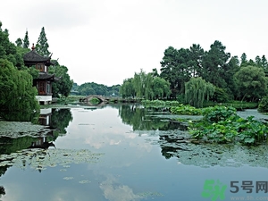 菱角是什么？菱角是什么季節(jié)成熟的？