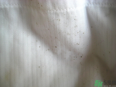 衣服長黑點怎么洗掉？衣服上長霉點怎么去除？