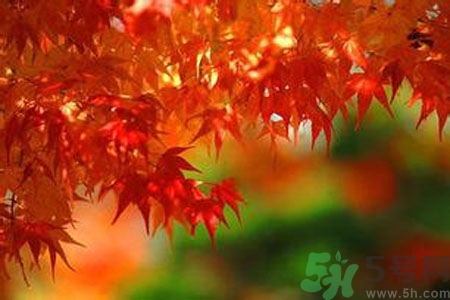 秋燥的表現(xiàn)是什么？小孩如何預(yù)防秋燥？
