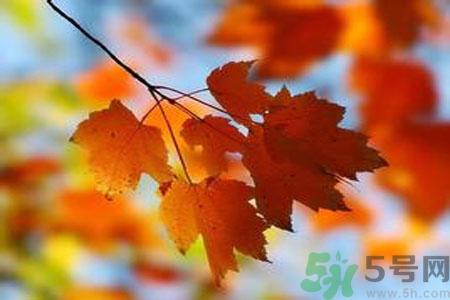 秋燥的表現(xiàn)是什么？小孩如何預(yù)防秋燥？
