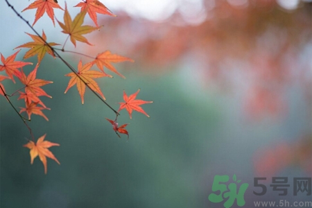 秋季如何預(yù)防去燥防風(fēng)？秋天防燥可以吃什么食物？