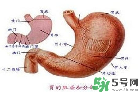 急性腸胃炎哪些食物不可以吃？急性腸胃炎不能吃的水果有？