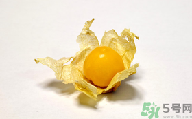 姑娘果的營養(yǎng)價值有哪些？姑娘果的功效與作用