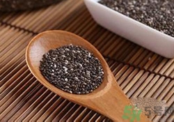 奇亞籽是什么？奇亞籽的功效作用