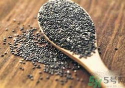 奇亞籽是什么？奇亞籽的功效作用