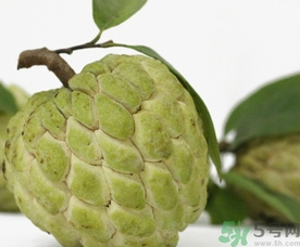 釋迦果怎么吃？釋迦的營養(yǎng)價值功效作用