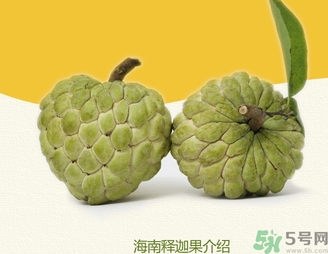 釋迦果怎么吃？釋迦的營養(yǎng)價值功效作用