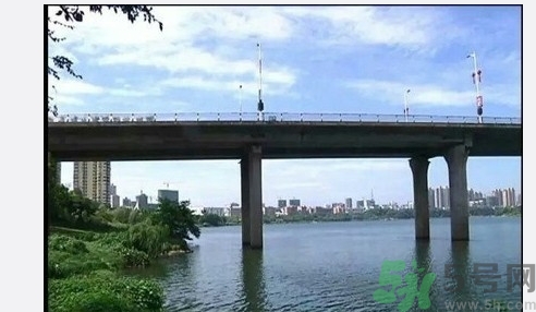 從多高的地方跳水會受傷？從多高的地方跳水會死亡？