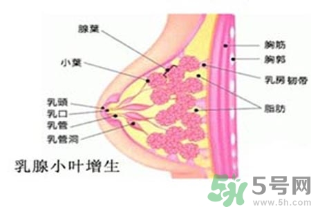 女性乳腺增生的原因是什么？乳腺增生的癥狀有哪些？