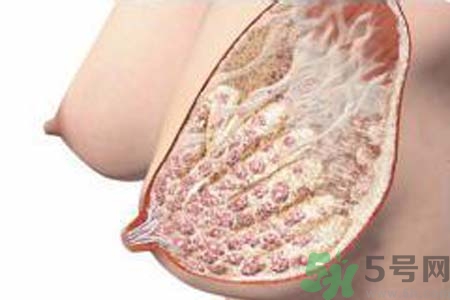 乳腺增生可以懷孕嗎？如何預(yù)防乳腺增生？