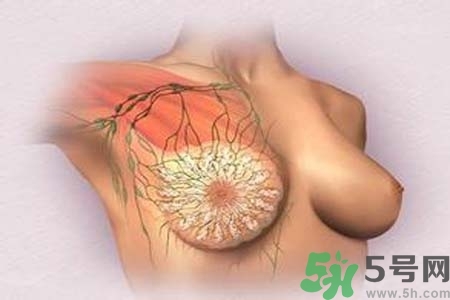 乳頭發(fā)黑怎么辦？怎么樣可以使乳頭變白？