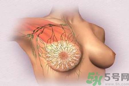 乳頭發(fā)黑是怎么回事？乳頭發(fā)黑是什么原因？