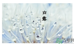 白露身不露是什么意思？白露還熱嗎？