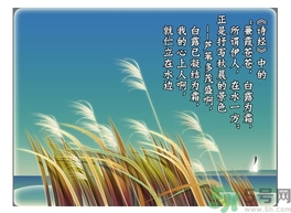 白露茶是什么茶？白露為什么要喝白露茶？