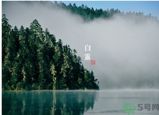 白露喝什么茶？白露養(yǎng)生茶飲推薦