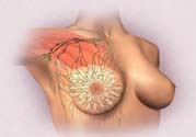 乳頭發(fā)黑是怎么回事？乳頭發(fā)黑是什么原因？